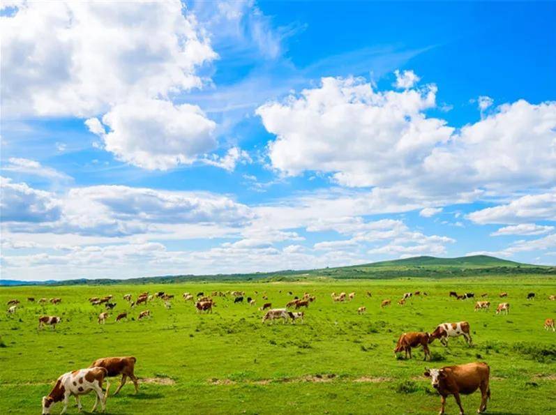 内蒙古草原之韵，人生的励志之旅