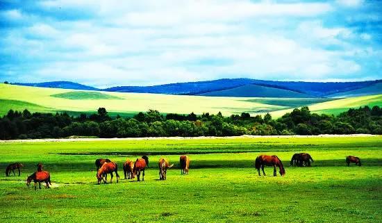 内蒙古,广袤草原的天堂之旅