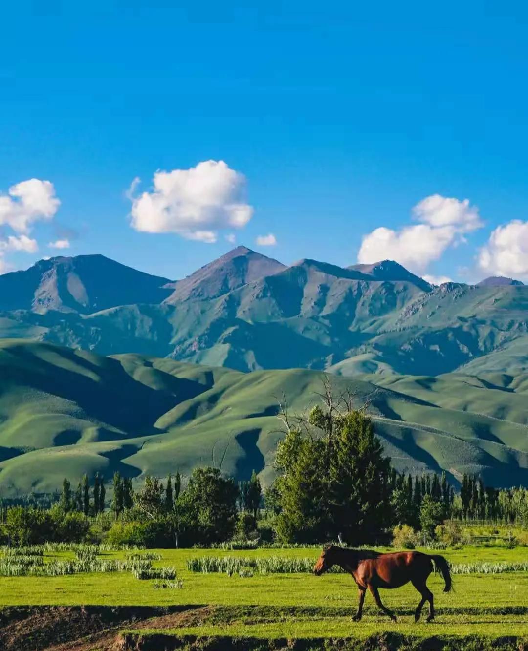 新疆，嘉宾云集，观众热情如火